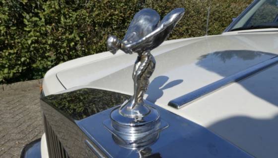 Limousine service & trouwvervoer Zeewolde Limousine service & trouwvervoer Zeewolde